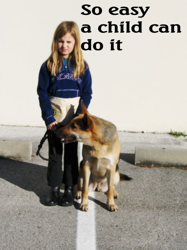 Scheurman's K9 Academy Dog Training Jacksonville Florida